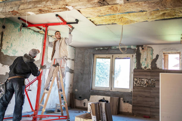 Best Local Insulation Services  in Berlin, MD