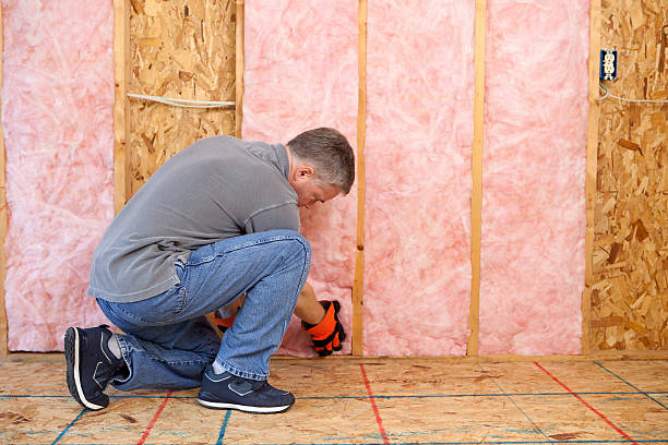 Best Insulation Repair Services  in Berlin, MD